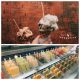 【Bali美食】冰棒V.S.冰淇淋，峇里島名店冰品大解析！Paletas Wey＆Gusto Gelato